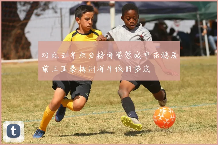 对比去年积分榜海港蓉城申花稳居前三亚泰梅州海牛依旧垫底