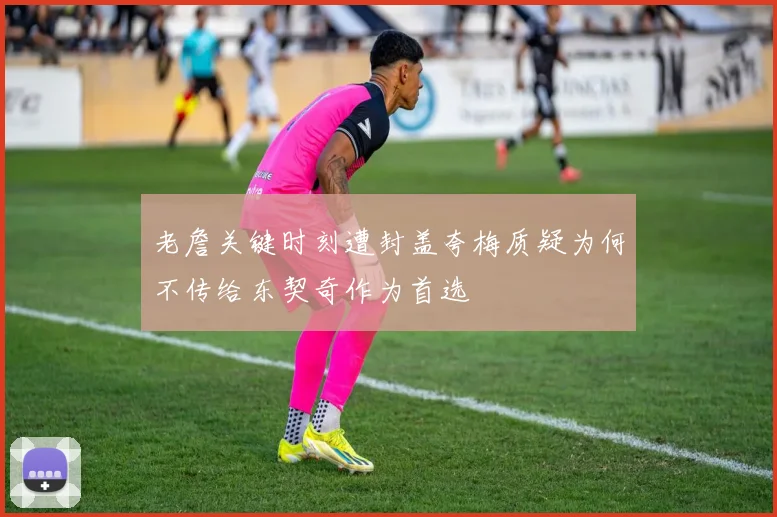 老詹关键时刻遭封盖夸梅质疑为何不传给东契奇作为首选
